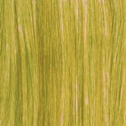 Greenish blonde hair swatch